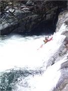 Tellico 25